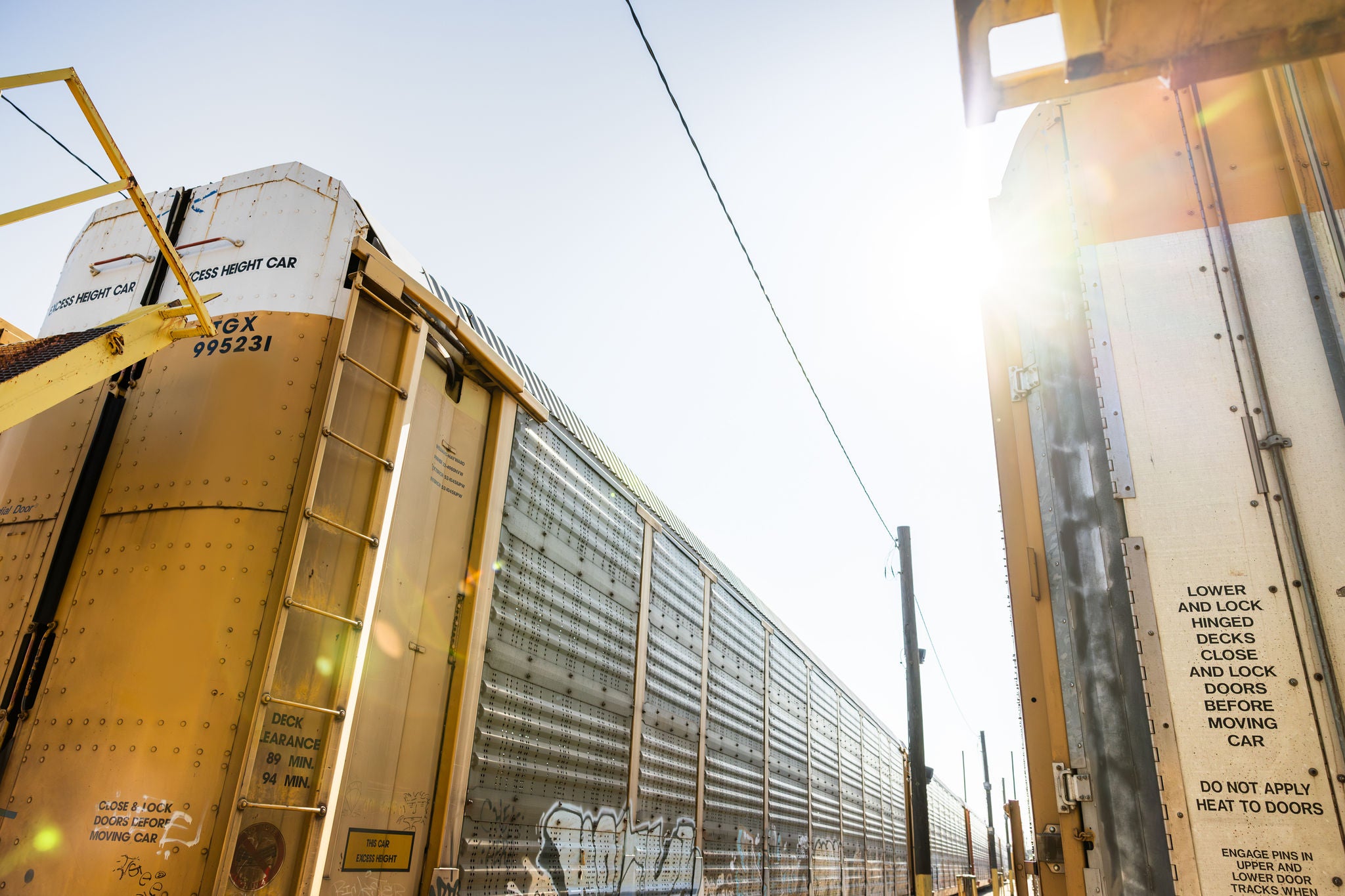 A low angle shot of two Norfolk Southern automobile carrier trains ready to provide automotive rail shipping service.