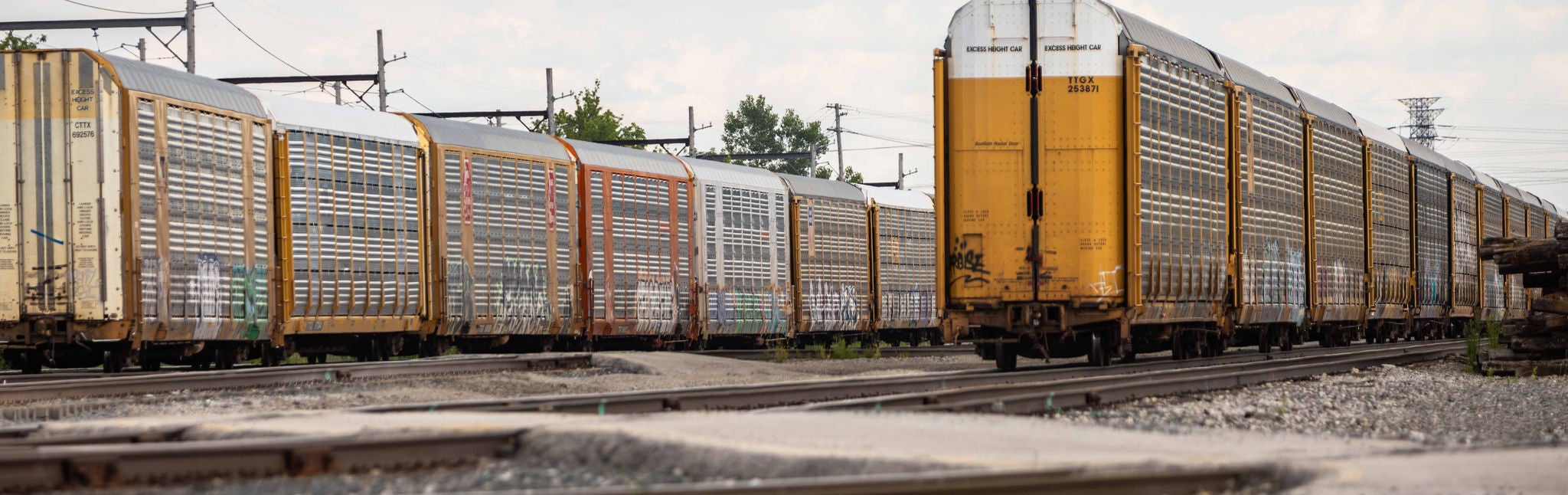 Two automobile carrier trains stationed side by side, on a break from providing automotive rail shipping service.